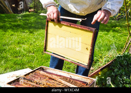 Horizontale Foto von einem Imker in weißer Schutzkleidung und Denim hinter einem Bienenstock mit Rahmen griff Werkzeug und einen leeren Rahmen in der Hand stehen. Authent Stockfoto