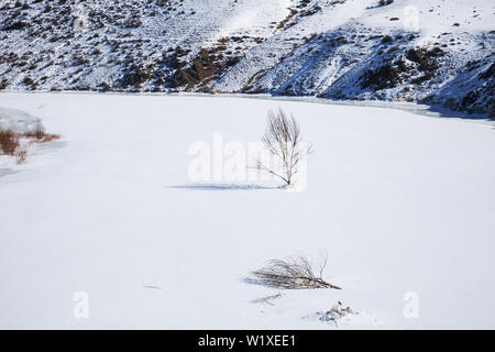 Verschneite Landschaft aus dem Zugfenster, Hintergrund Stockfoto