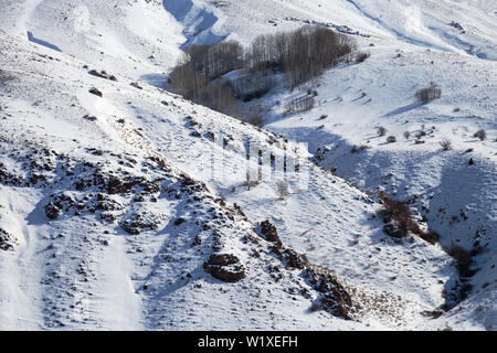 Verschneite Landschaft aus dem Zugfenster, Hintergrund Stockfoto