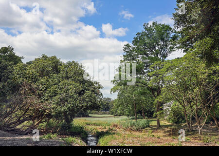 Anthony Woodlands, Torpoint Cornwall. Das badehaus von Thomas Parlby hinter Bäumen neben den Salinen hidden Stockfoto