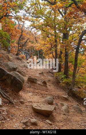 Rocky Wanderweg mit herbstlichen Laub durch Buche Wald bedeckt in Bergen auf der Halbinsel Krim Stockfoto