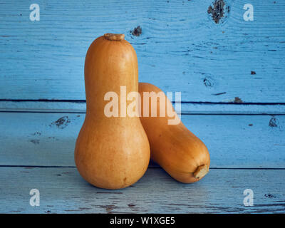 Butternut Squash auf blauen Hintergrund im Landhausstil Stockfoto