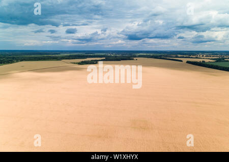 Luftaufnahme von Weizen Ackerland Feld und blauen bewölkten Himmel Stockfoto