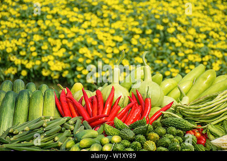 Gemüse in Thailand, Aubergine, Purple Winged Bean, bitteren Kürbis, Melone und roter Chili. Stockfoto