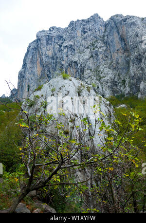 Anica Kuk Peak, Nationalpark Paklenica, Velebit, Dalmatien, Kroatien, Europa Stockfoto