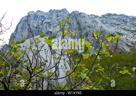 Anica Kuk Peak, Nationalpark Paklenica, Velebit, Dalmatien, Kroatien, Europa Stockfoto