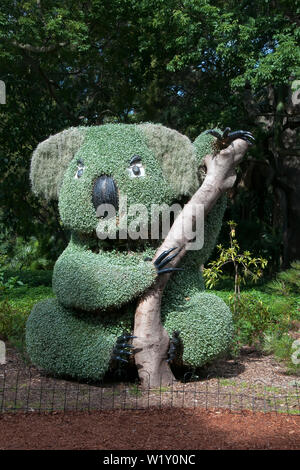 Sydney Australien, Koala Bär garten Kunst im Garten Stockfoto