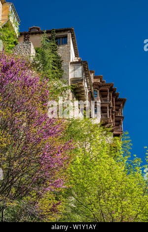 Casas Colgados (Hängende Häuser), 15. Jahrhundert, Bäume in Blüte, über Huecar River Gorge in Cuenca, Kastilien-La Mancha, Spanien Stockfoto