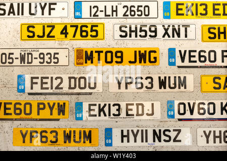 Verschiedene alte, weggeworfene britische und irische Nummernschilder sind an der Wand des Autovermietungsservice angebracht Stockfoto
