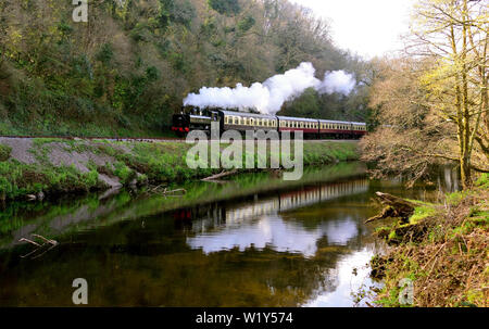 Im Fluss Dart reflektiert, schleppt der GWR-Satteltank Nr. 6412 den Zug 1025 von Totnes nach Buckfastleigh., 11.04.2019. Stockfoto