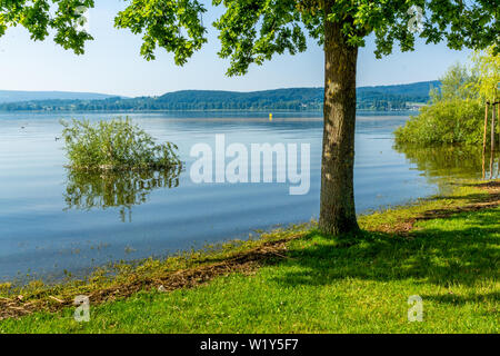 Urlaub Frühling am schönen Bodensee mit blauem Himmel Stockfoto