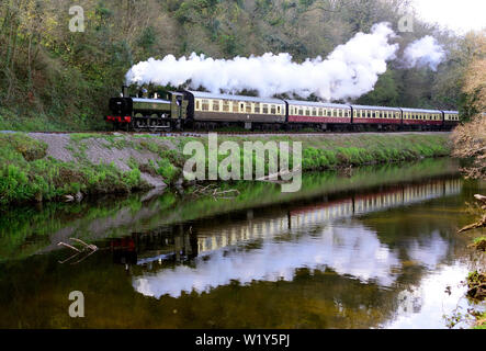 Im Fluss Dart reflektiert, schleppt der GWR-Satteltank Nr. 6412 den Zug 1025 von Totnes nach Buckfastleigh., 11.04.2019. Stockfoto