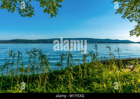 Urlaub Frühling am schönen Bodensee mit blauem Himmel Stockfoto