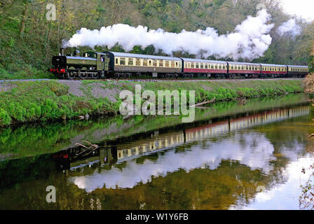 Im Fluss Dart reflektiert, schleppt der GWR-Satteltank Nr. 6412 den Zug 1025 von Totnes nach Buckfastleigh., 11.04.2019. Stockfoto