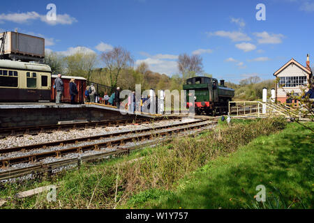 GWR pannier Tank Nr. 6412 rücken in die Plattform in Totnes Riverside Bahnhof nach dem Ausführen um ihren Zug während der Gala der South Devon Railway. Stockfoto