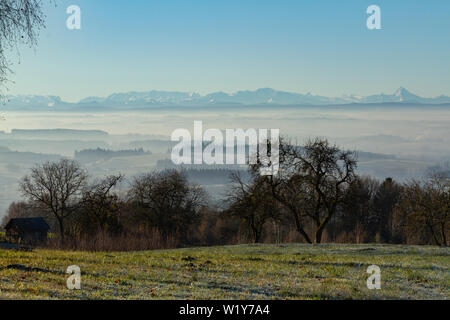 Kahlen Bäumen auf einem Hügel mit Blick auf ein Tal mit Nebel und einige Berggipfel abgedeckt sind peaking Werfen mit einem frostigen Bereich im Vordergrund. Stockfoto