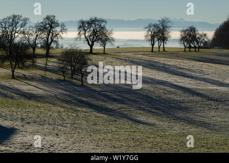 Blattlosen Bäume werfen lange Schatten auf einem eisigen, reichlich Feld nach der Ernte in einem fogy Licht und eine Bergkette im Hintergrund Stockfoto