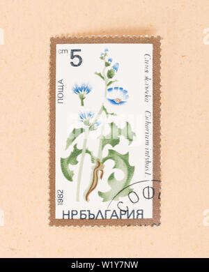 Russland - ca. 1982: einen Stempel in Russland gedruckt zeigt eine Blume, ca. 1982 Stockfoto