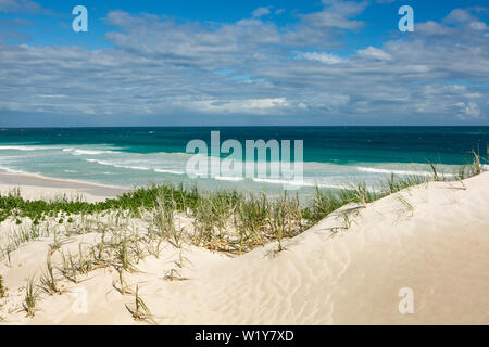 Weitwinkelaufnahme eines weissen Sandstrand mit hohen Dünen in Westaustralien mit großen Wellen am Strand brechen Stockfoto