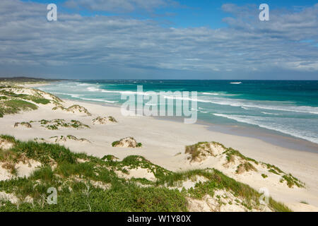 Weitwinkelaufnahme eines weissen Sandstrand mit hohen Dünen in Westaustralien mit großen Wellen am Strand brechen Stockfoto