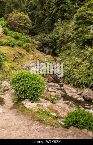 Frisches Grün der Vegetation, die auch generische Pflanzen. Naturpark mit einem Wasserfall in Nordeste, Sao Miguel, Azoren, Portuga Stockfoto