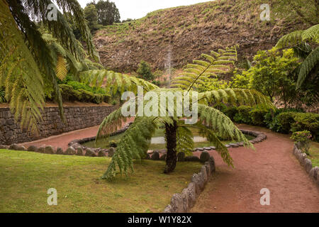 Frisches Grün der Vegetation, die auch generische Pflanzen. Naturpark mit einem Wasserfall in Nordeste, Sao Miguel, Azoren, Portuga Stockfoto