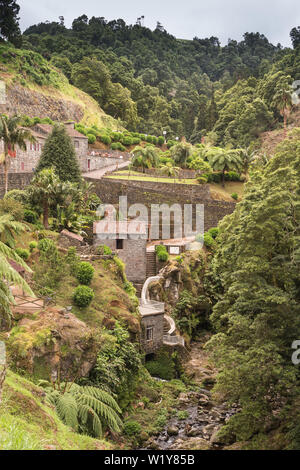 Frisches Grün der Vegetation, die auch generische Pflanzen. Naturpark mit einem Wasserfall in Nordeste, Sao Miguel, Azoren, Portuga Stockfoto