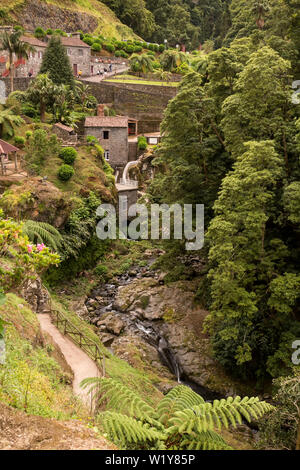 Frisches Grün der Vegetation, die auch generische Pflanzen. Naturpark mit einem Wasserfall in Nordeste, Sao Miguel, Azoren, Portuga Stockfoto