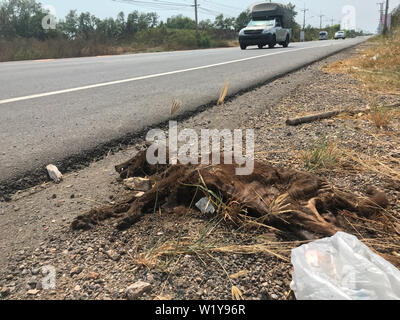 Leiche des Hundes liegt auf der Straße mit Verkehr. Tote Hund neben Straße in Thailand. Stockfoto