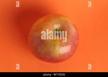 Frische Äpfel Sorte in den Apple Land Südtirol angebaut, Norditalien. Stockfoto