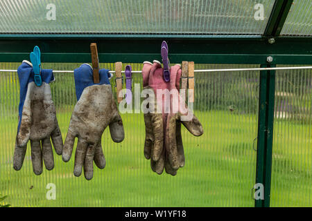 Gartenhandschuhe in einem Gewächshaus zum Trocknen aufgehängt. Stockfoto