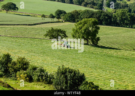 Ein Bauer schneidet Gras für Silage. Stockfoto