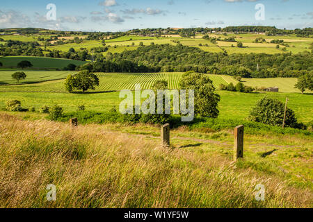 Blick aus Baildon Moor in Yorkshire. Die lange Distanz einen Blick Blick über den Gill Beck Tal. Stockfoto