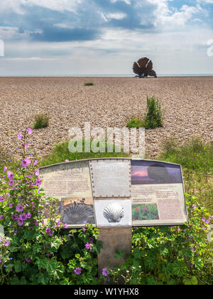 Jakobsmuscheln Skulptur zu Benjamin Britten gewidmet von Maggi Hambling am Strand von Aldeburgh Suffolk England Stockfoto