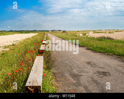 Weg entlang der Küste in Richtung Damme in Aldeburgh Suffolk England Stockfoto