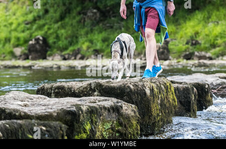 Walker auf die Trittsteine über den Fluß Ure in Redmire, Yorkshire Dales, UK. Stockfoto