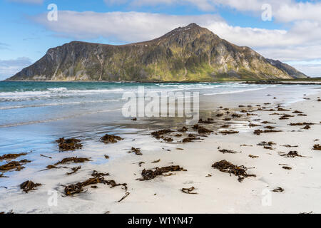 Flakstad Strand, Lofoten, Norwegen an einem schönen Frühlingstag mit Motion verschwommen azurblauen Meer und gestrandete Algen am Strand Stockfoto