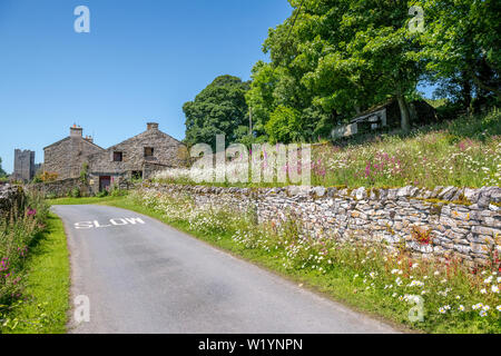 Kleine Wiese mit Wildblumen, bestehend aus Ox-eye Gänseblümchen, Fingerhut und Red Campion hinter einer Trockenmauer. Stockfoto