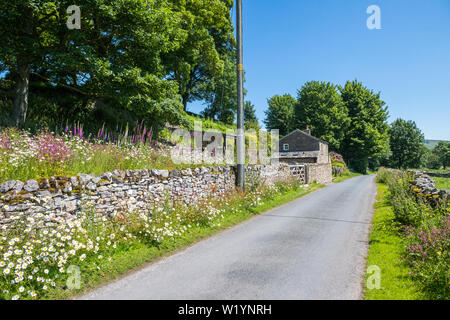 Kleine Wiese mit Wildblumen, bestehend aus Ox-eye Gänseblümchen, Fingerhut und Red Campion hinter einer Trockenmauer. Stockfoto