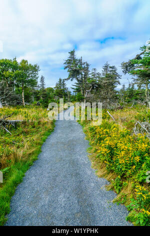 Blick auf die Skyline Trail, im Cape Breton Highlands National Park, Nova Scotia, Kanada Stockfoto