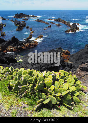 Felsen auf dem Ozean Küste, Mosteiros, São Miguel, Azoren, Açores Stockfoto