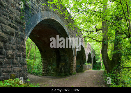 Der Eisenbahnviadukt im Leigh Woods in der Nähe von Bristol, North Somerset, England. Stockfoto