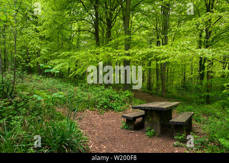 Ein Picknick Tisch in Leigh Woods in der Nähe von Bristol, North Somerset, England. Stockfoto