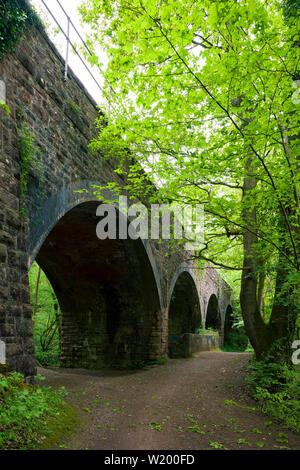 Der Eisenbahnviadukt im Leigh Woods in der Nähe von Bristol, North Somerset, England. Stockfoto