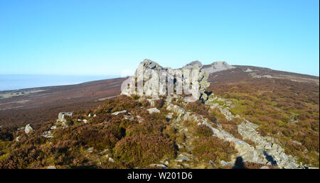 Blick auf einem Felsvorsprung oder Damm, auf der Stiperstones, ein markanter Hügel in Shropshire, England. Es handelt sich um einen Quarzit Ridge. Stockfoto