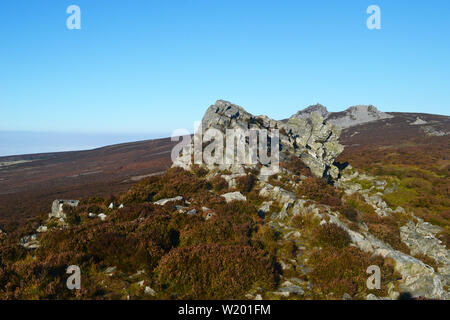 Blick auf einem Felsvorsprung oder Damm, auf der Stiperstones, ein markanter Hügel in Shropshire, England. Es handelt sich um einen Quarzit Ridge. Stockfoto