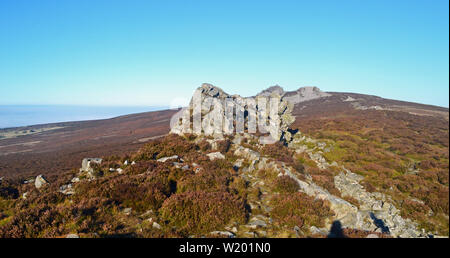 Blick auf einem Felsvorsprung oder Damm, auf der Stiperstones, ein markanter Hügel in Shropshire, England. Es handelt sich um einen Quarzit Ridge. Stockfoto