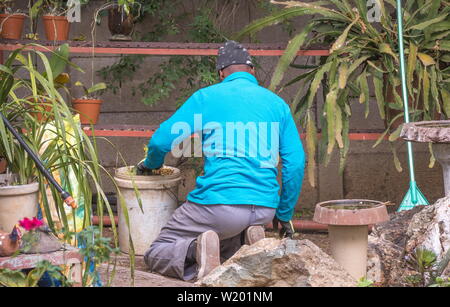 Johannesburg, Südafrika - einem nicht identifizierten männlichen Schwarzen Wanderarbeitnehmer funktioniert die manuelle Arbeit im heimischen Garten in der Stadt Stockfoto