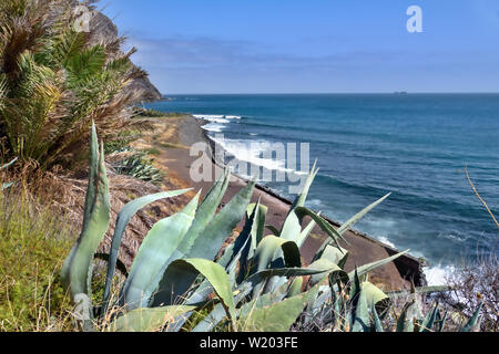 Blick über den schwarzen Lavastrand in Igueste auf der Kanarischen Insel Teneriffa. Keine Menschen, in den Vordergrund große Agaven, der Atlantik ist dunkel b Stockfoto