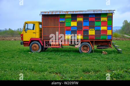 Mobile Bienenstöcke auf einem Lkw, im Feld stationiert. Ländliche Slowenien, Stockfoto